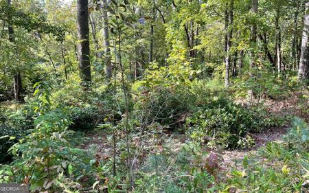 Lot E Timber Ridge, Hayesville NC 28904