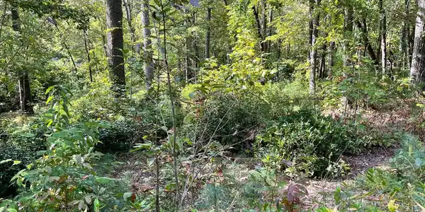 Lot E Timber Ridge, Hayesville NC 28904