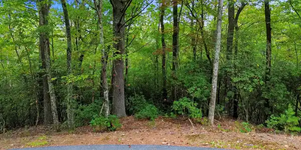 Lot 40 Grimes Nose # 40, Sautee Nacoochee GA 30571