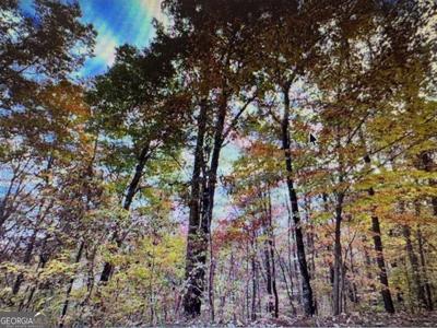 Lot 6 # 6, Young Harris GA 30582 6 Morgan Creek