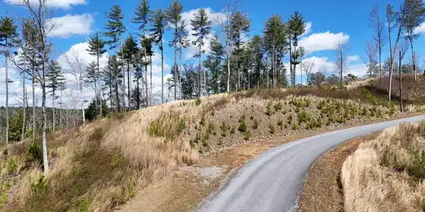 Lot 253 High River Crossing, Ellijay GA 30540
