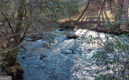 193 Opossum Road # 61, Blairsville GA 30512