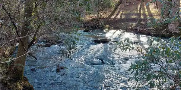 193 Opossum Road # 61, Blairsville GA 30512