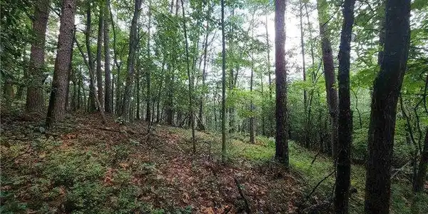 Lot 107 Rosen Strasse, Helen GA 30545