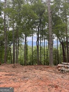 Lot 592 Sapulpa Court, Ellijay GA 30540