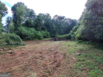 Lot 17 Blackberry Mountain Road, Ellijay GA 30536