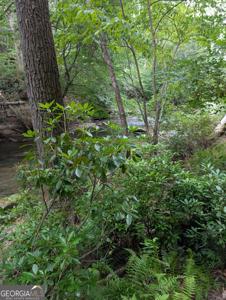 Lot 32 Byers Road, Blairsville GA 30512