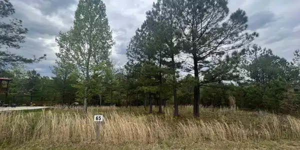 Lot 65 Village Loop, Blairsville GA 30512