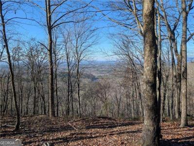 234 Stirratt Road, Ranger GA 30734