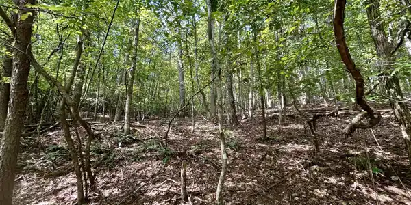 Yonah View Drive, Cleveland GA 30528