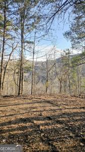 137 Abe Court, Ranger GA 30734