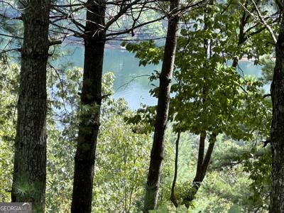 0 Rabun Bluffs Dr