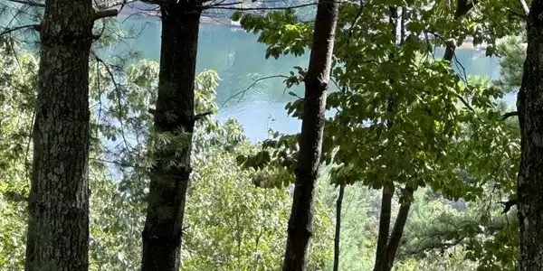 0 Rabun Bluffs Dr