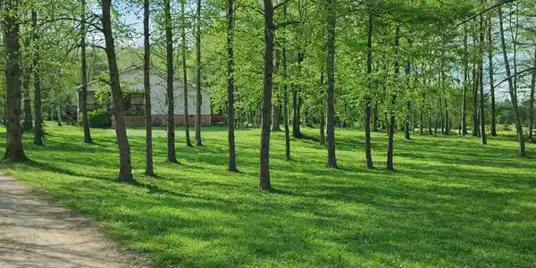 218 Cedar Hollow Road, Cleveland GA 30528