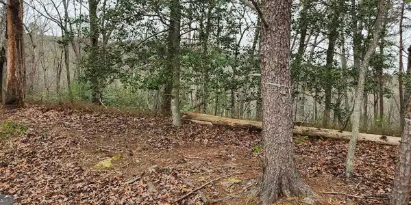 361 Vista Dell Lane, Tallulah Falls GA 30573