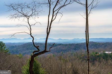 Lot 13 White Oak Circle # 13, Blue Ridge GA 30513