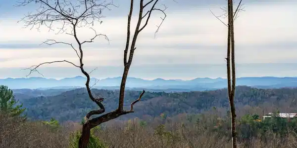 Lot 13 White Oak Circle # 13, Blue Ridge GA 30513
