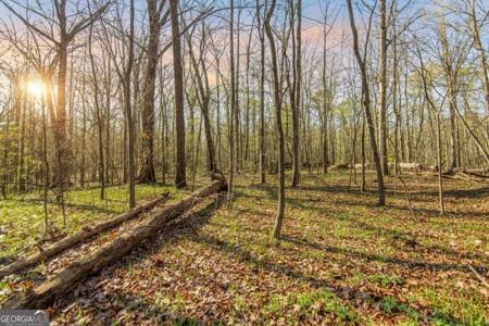 6 ACRES Flat Creek Road, Ellijay GA 30540