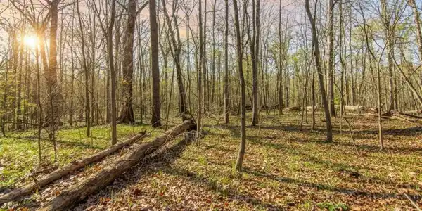 6 ACRES Flat Creek Road, Ellijay GA 30540