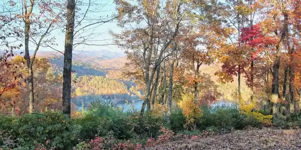 0 Sail View