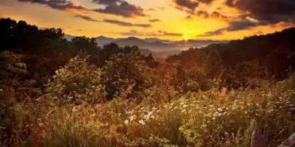 Lot 29 Raven Ridge Road, Clayton GA 30525