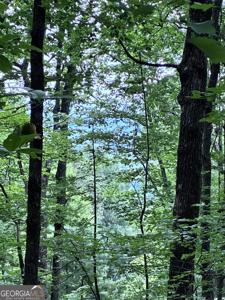 829 Morton Drive, Ellijay GA 30540