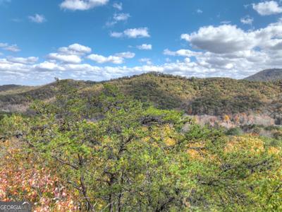 23 ACRES Weaver Creek Road, Blue Ridge GA 30513