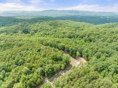 # 40 Chimney Ridge