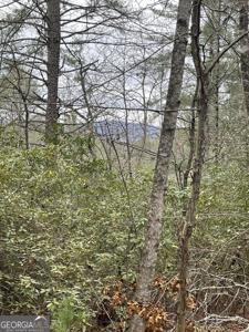 Lot 6, Tiger GA 30576 Hidden Falls Drive