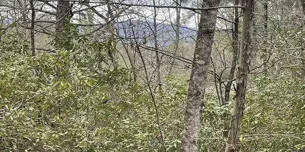 Lot 6, Tiger GA 30576 Hidden Falls Drive