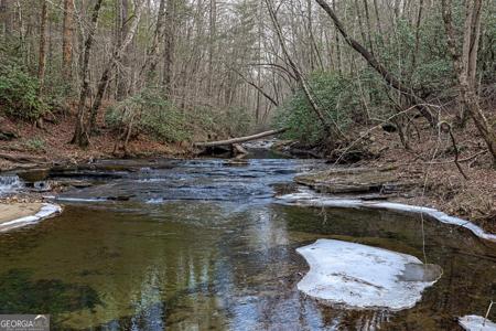 Trout Farm Road, Talking Rock GA 30175