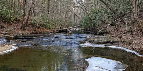 Trout Farm Road, Talking Rock GA 30175