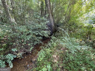 West Wolf Creek, Lakemont GA 30552