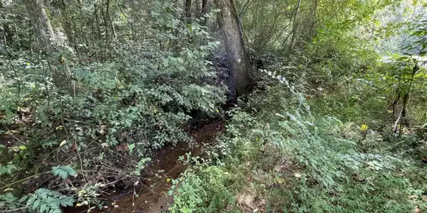 West Wolf Creek, Lakemont GA 30552
