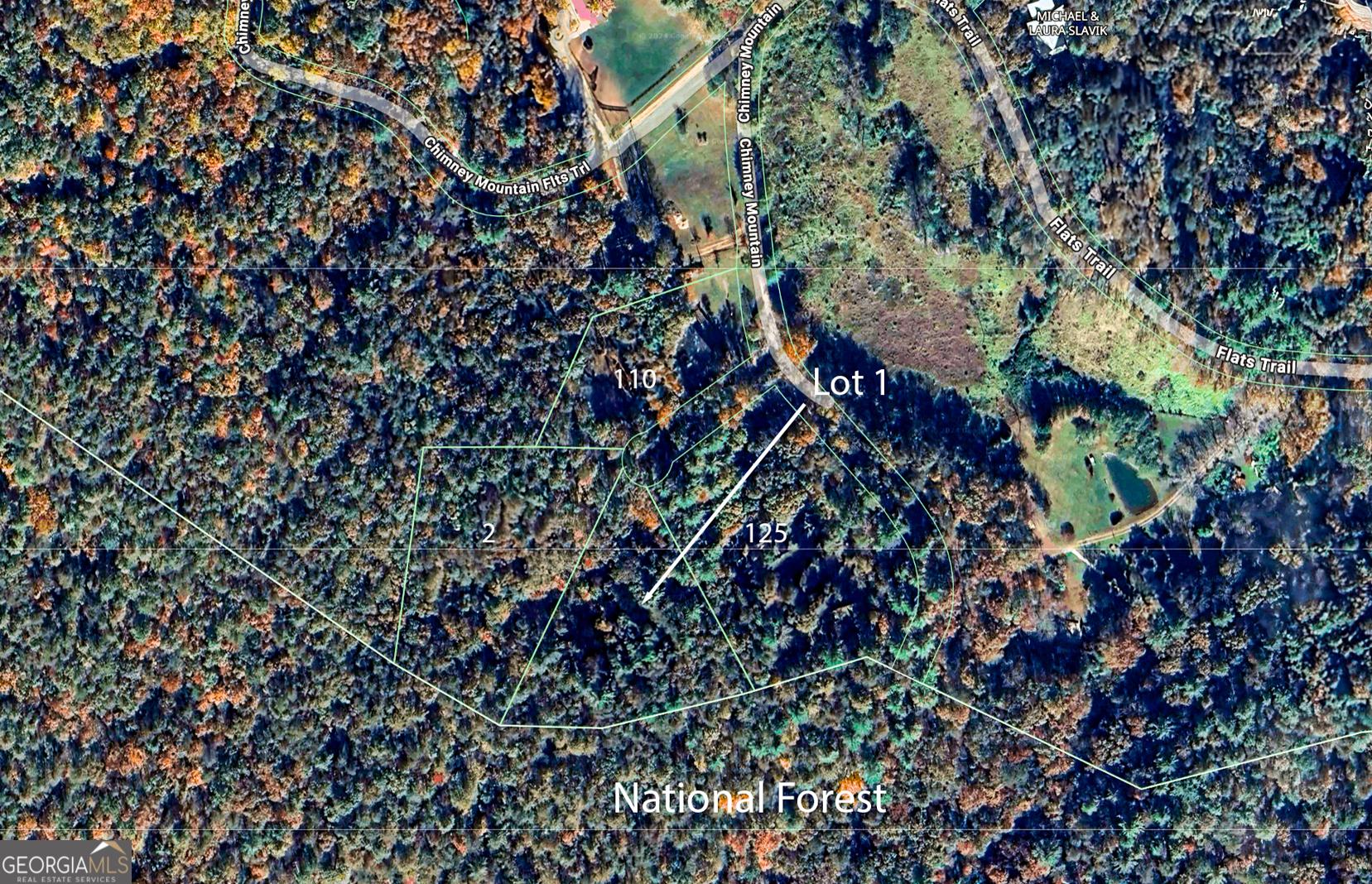 Image 1