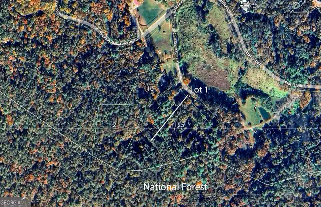 Image 1