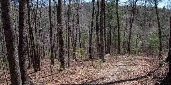 Lot 43B Round Top # 43B, Clayton GA 30525