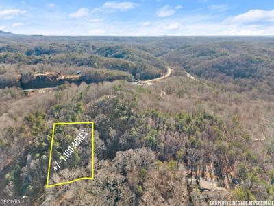 Lot 1 Avenue, Dahlonega GA 30533 Golden