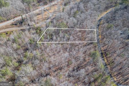 Lot 50 Tranquility At Carters Lake, Ellijay GA 30540