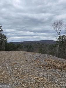 Lot 268 Canoe Way, Talking Rock GA 30175