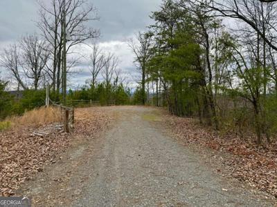 989 Blade Court, Ranger GA 30734