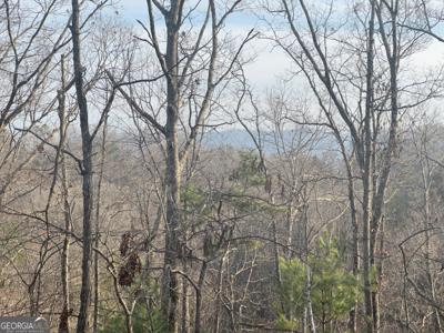 TRACT 1 Century Lane, Blue Ridge GA 30513