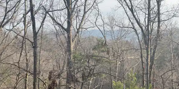 TRACT 1 Century Lane, Blue Ridge GA 30513