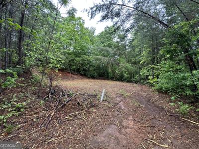 Toole Street, Clayton GA 30525
