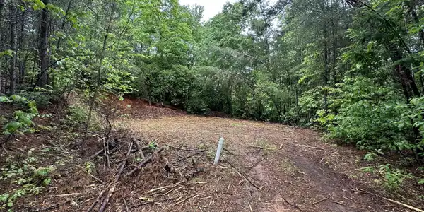 Toole Street, Clayton GA 30525