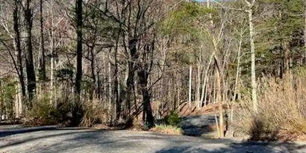 109 Jack Rabbit Drive