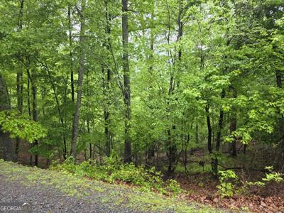 LT 937 Myna Drive, Ellijay GA 30540