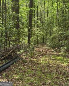348 Hemlock Trail, Ellijay GA 30540