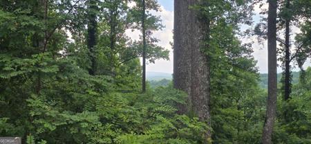 1 Windning Ridge, Blairsville GA 30514