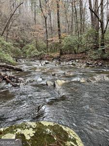 1551 Dorian Court, Ranger GA 30734